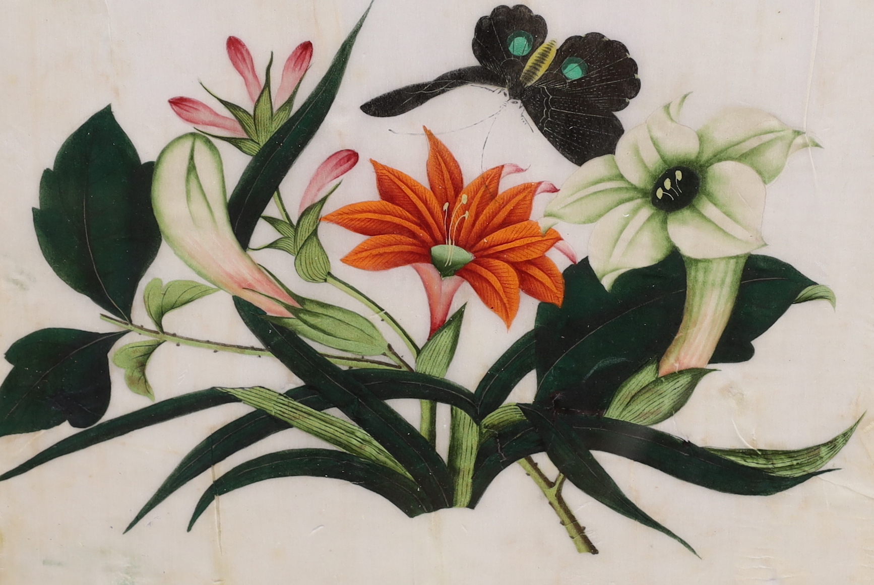 19th century Chinese school, pair of pith paper paintings, Still lifes of flowers, each 16.5 x 23cm, housed in decorative frames